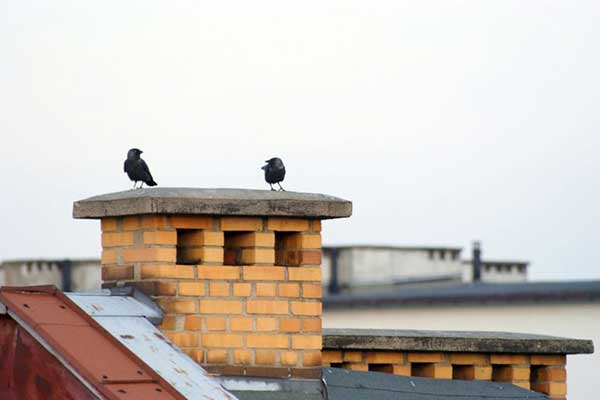 Details Costs Associated With Fireplace Repairs Fayetteville Ar Top Hat Chimney Roofing 768x511 1