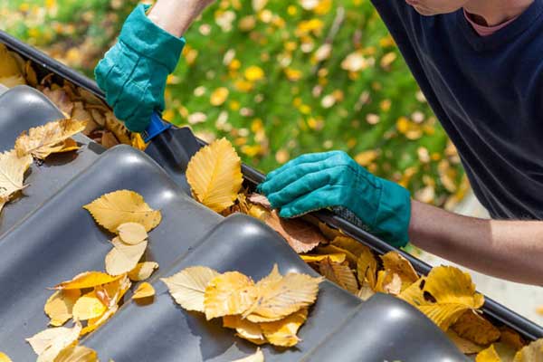 Happy And Gutters Clean Happy And Gutters Clean