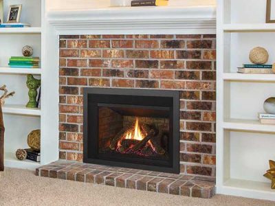 Regency Liberty Lri3e Gas Insert